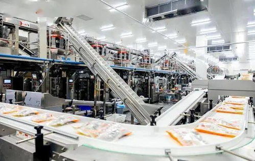 嚴防嚴控安全風險 河北部署開展冷凍飲品 速凍食品生產企業(yè)專項整治行動